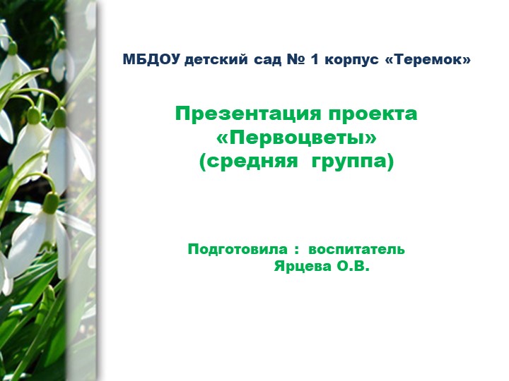 Презентация "Проект "Первоцветы в средней группе"(для дошкольников) - Скачать презентации бесплатно | Читать или скачать учебники для школы онлайн бесплатно ☑ Школьные учебники school-textbook.com