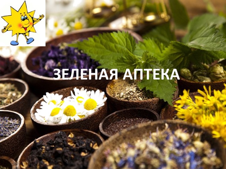 Презентация по окружающему миру на тему "Зелёная аптека" - Скачать презентации бесплатно | Читать или скачать учебники для школы онлайн бесплатно ☑ Школьные учебники school-textbook.com