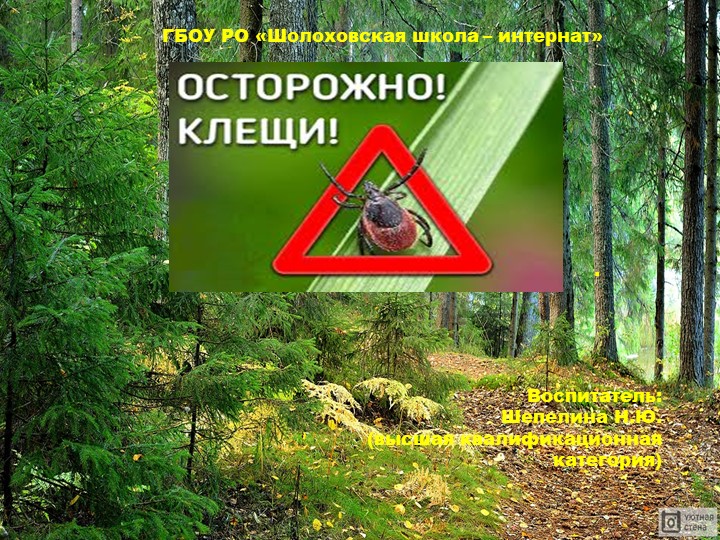 Презентация "Осторожно! Клещи!" (2 класс)  - Скачать презентации бесплатно | Читать или скачать учебники для школы онлайн бесплатно ☑ Школьные учебники school-textbook.com