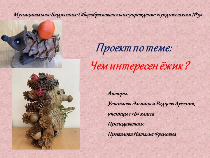 Презентация проекта "Чем интересен ёжик" - Скачать презентации бесплатно | Читать или скачать учебники для школы онлайн бесплатно ☑ Школьные учебники school-textbook.com