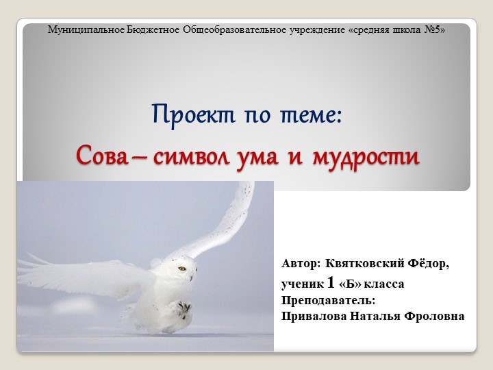 Презентация проекта "Сова - символ ума и мудрости" - Скачать презентации бесплатно | Читать или скачать учебники для школы онлайн бесплатно ☑ Школьные учебники school-textbook.com