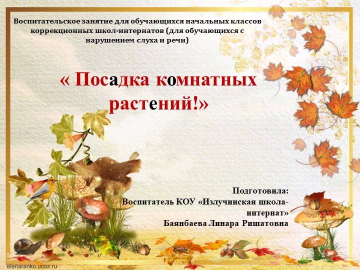 Презентация на тема: " Посадка комнатных растений" - Скачать презентации бесплатно | Читать или скачать учебники для школы онлайн бесплатно ☑ Школьные учебники school-textbook.com