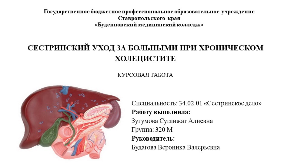 Сестринская помощь при холецистите - Скачать презентации бесплатно | Читать или скачать учебники для школы онлайн бесплатно ☑ Школьные учебники school-textbook.com