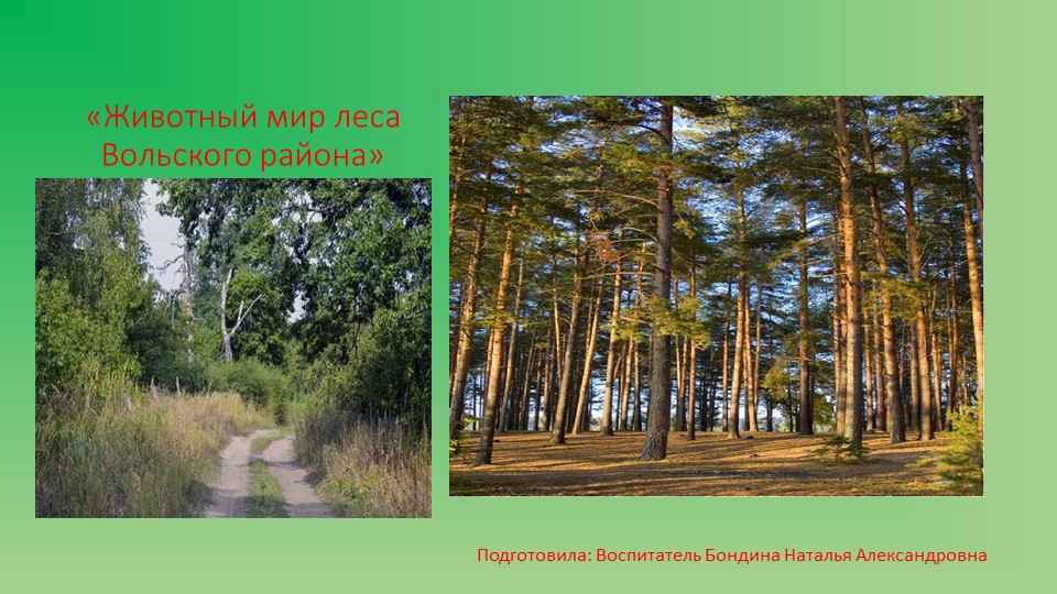 Презентация для дошкольников «Животный мир Вольского района» - Скачать презентации бесплатно | Читать или скачать учебники для школы онлайн бесплатно ☑ Школьные учебники school-textbook.com