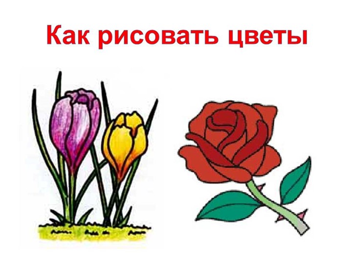 Презентация "Как рисовать цветы " 2класс - Скачать презентации бесплатно | Читать или скачать учебники для школы онлайн бесплатно ☑ Школьные учебники school-textbook.com