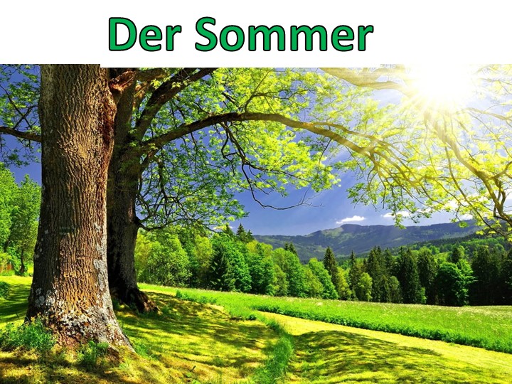 Презентация по теме "Der Sommer" - Скачать презентации бесплатно | Читать или скачать учебники для школы онлайн бесплатно ☑ Школьные учебники school-textbook.com