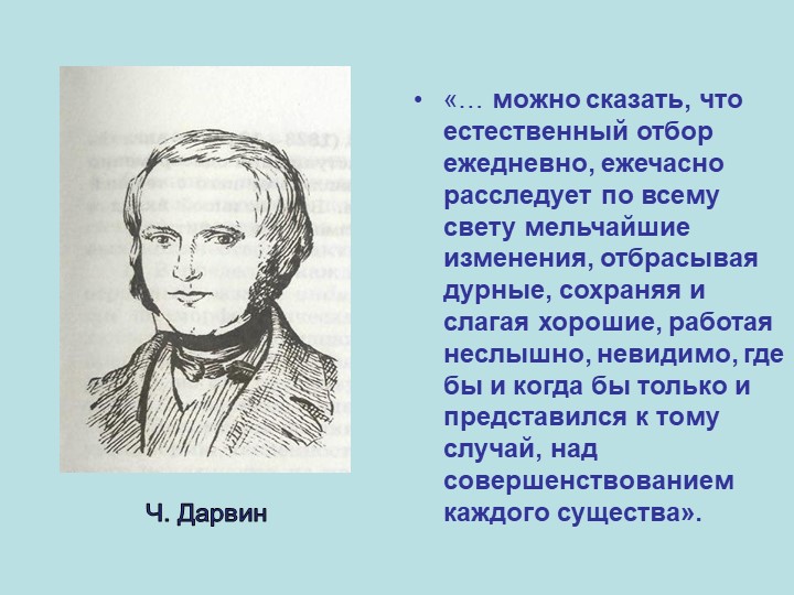 Презентация по биологии на тему "Приспособленность организмов" (11 класс)  - Скачать презентации бесплатно | Читать или скачать учебники для школы онлайн бесплатно ☑ Школьные учебники school-textbook.com