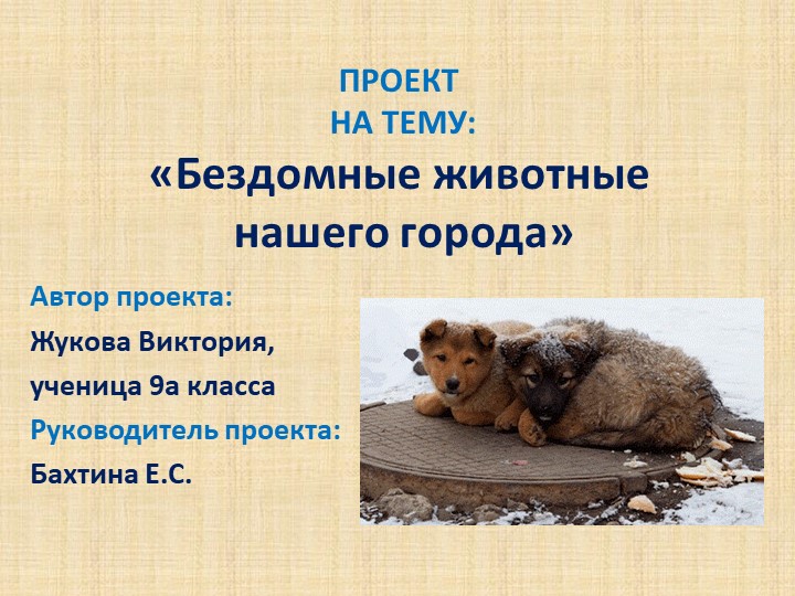 Презентация на тему: "Бездомные животные г.Саратова" - Скачать презентации бесплатно | Читать или скачать учебники для школы онлайн бесплатно ☑ Школьные учебники school-textbook.com