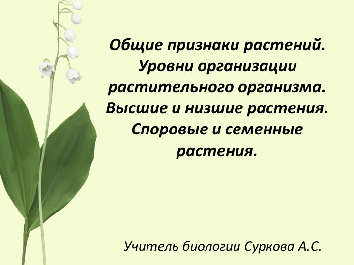 Общие признаки растений. Уровни организации растительного организма.6 класс - Скачать презентации бесплатно | Читать или скачать учебники для школы онлайн бесплатно ☑ Школьные учебники school-textbook.com