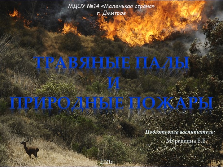 Презентация "Травяные палы и природные пожары" - Скачать презентации бесплатно | Читать или скачать учебники для школы онлайн бесплатно ☑ Школьные учебники school-textbook.com