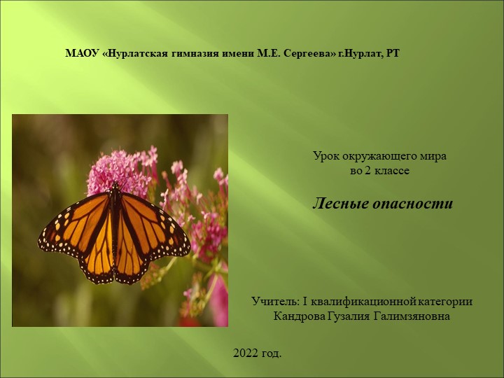 Презентация по окружающему миру "Лесные опасности"(2 класс) - Скачать презентации бесплатно | Читать или скачать учебники для школы онлайн бесплатно ☑ Школьные учебники school-textbook.com