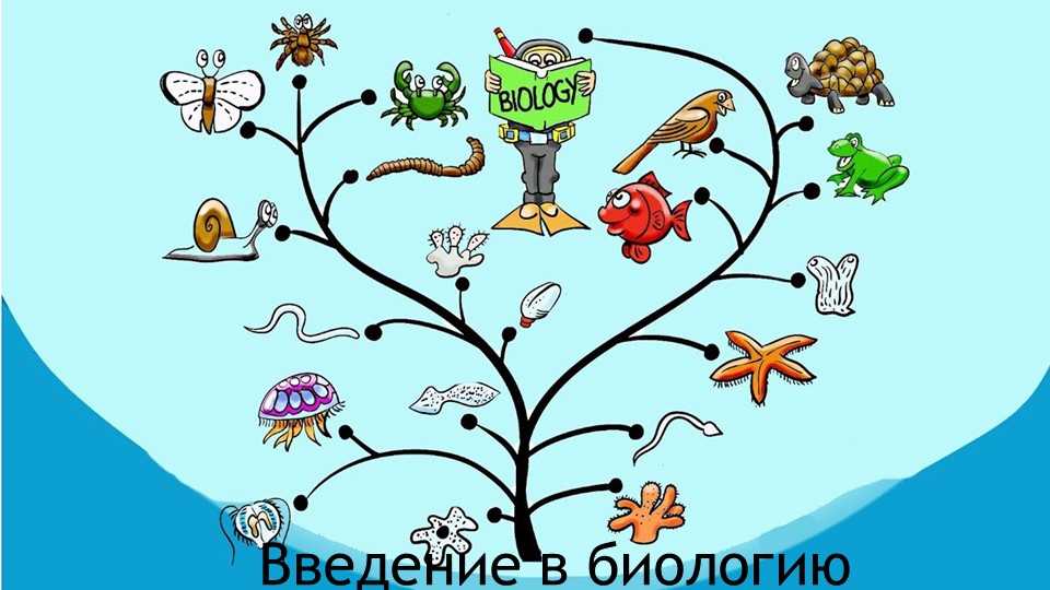 Введение в биологию, свойства живого - Скачать презентации бесплатно | Читать или скачать учебники для школы онлайн бесплатно ☑ Школьные учебники school-textbook.com