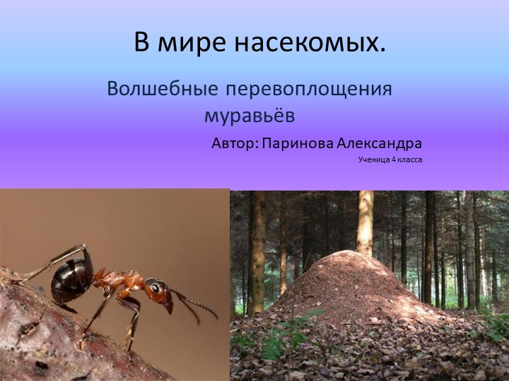 Презентация по окружающему миру "Волшебные перевоплощения муравьев" - Скачать презентации бесплатно | Читать или скачать учебники для школы онлайн бесплатно ☑ Школьные учебники school-textbook.com