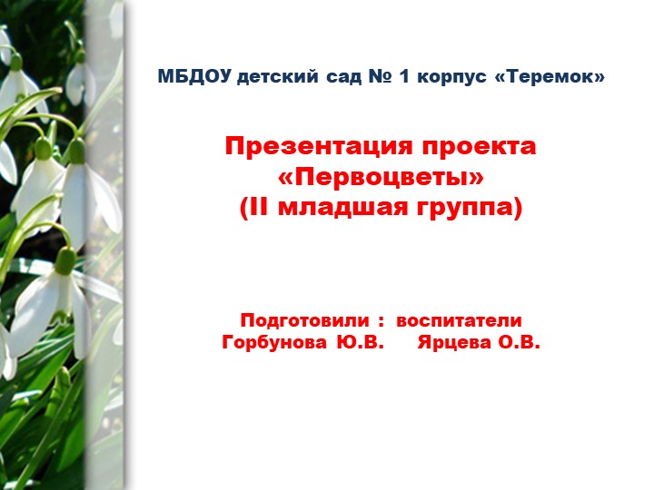 Презентация на тему: "Проект "Первоцветы" (дошкольники) - Скачать презентации бесплатно | Читать или скачать учебники для школы онлайн бесплатно ☑ Школьные учебники school-textbook.com