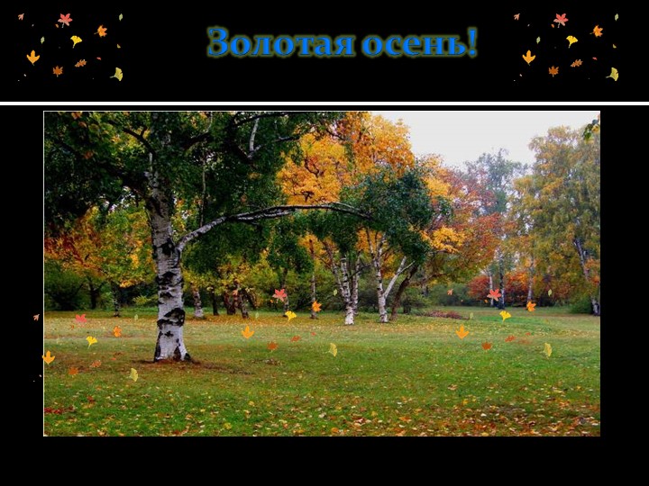 Презентация на тему"Золотая осень" - Скачать презентации бесплатно | Читать или скачать учебники для школы онлайн бесплатно ☑ Школьные учебники school-textbook.com
