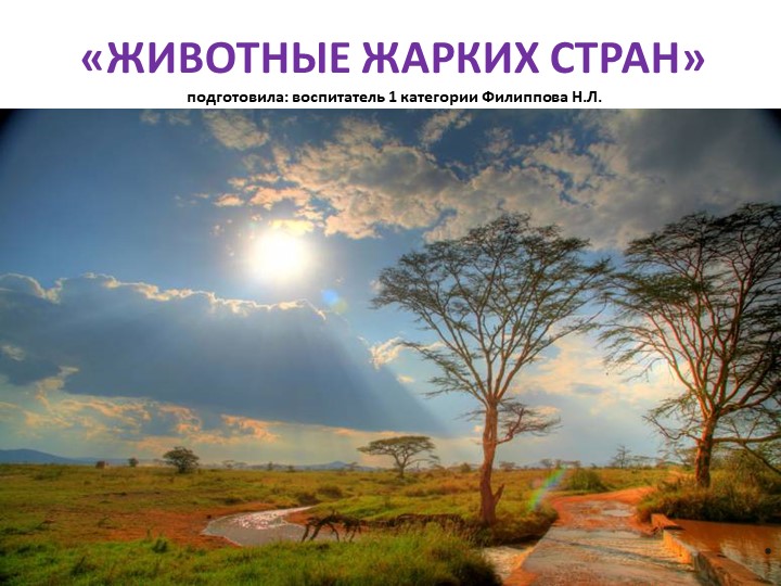 Презентация "Животные жарких стран" - Скачать презентации бесплатно | Читать или скачать учебники для школы онлайн бесплатно ☑ Школьные учебники school-textbook.com