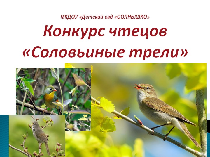 Презентация к конкурсу чтецов "Соловьиные трели" - Скачать презентации бесплатно | Читать или скачать учебники для школы онлайн бесплатно ☑ Школьные учебники school-textbook.com