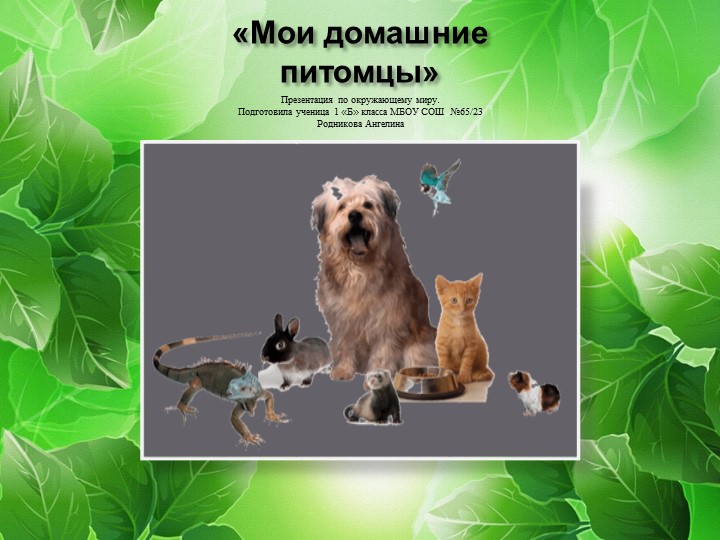 Презентация по окружающему миру на тему "Мои домашние питомцы" ( 1 класс) - Скачать презентации бесплатно | Читать или скачать учебники для школы онлайн бесплатно ☑ Школьные учебники school-textbook.com