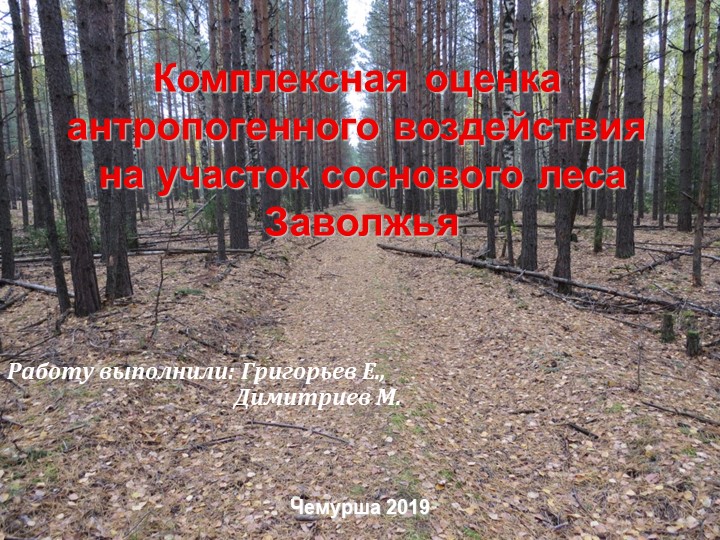 Презентация исследования на тему "Комплексная оценка антропогенного воздействия на участок соснового леса" - Скачать презентации бесплатно | Читать или скачать учебники для школы онлайн бесплатно ☑ Школьные учебники school-textbook.com