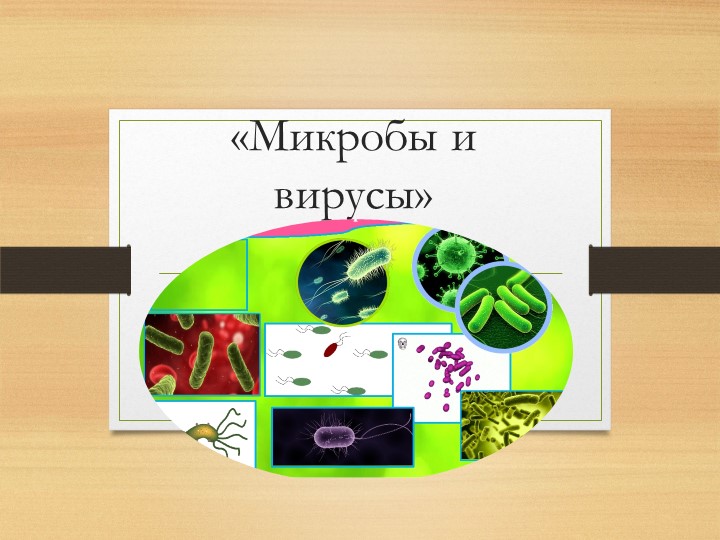 Презентация к занятию "Микробы и вирусы" - Скачать презентации бесплатно | Читать или скачать учебники для школы онлайн бесплатно ☑ Школьные учебники school-textbook.com