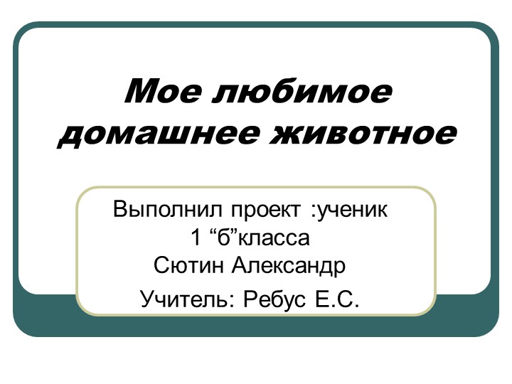 Презентация "Моё любимое домашнее животное"1 класс - Скачать презентации бесплатно | Читать или скачать учебники для школы онлайн бесплатно ☑ Школьные учебники school-textbook.com