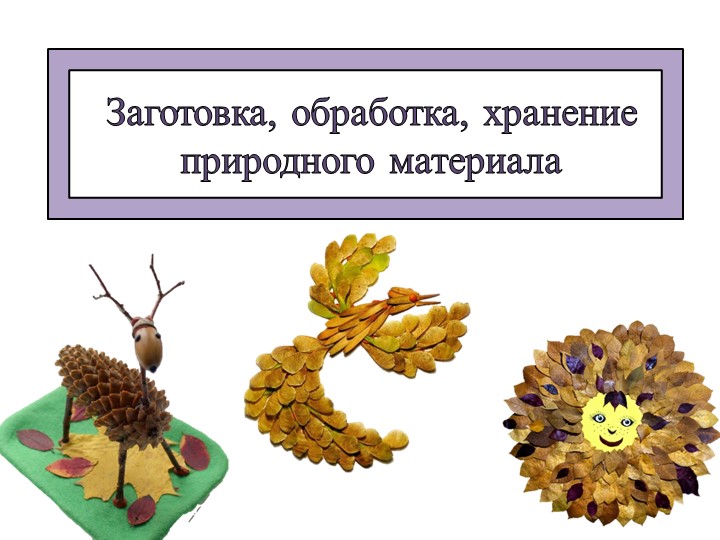 Презентация "Заготовка, обработка, хранение природного материала" - Скачать презентации бесплатно | Читать или скачать учебники для школы онлайн бесплатно ☑ Школьные учебники school-textbook.com