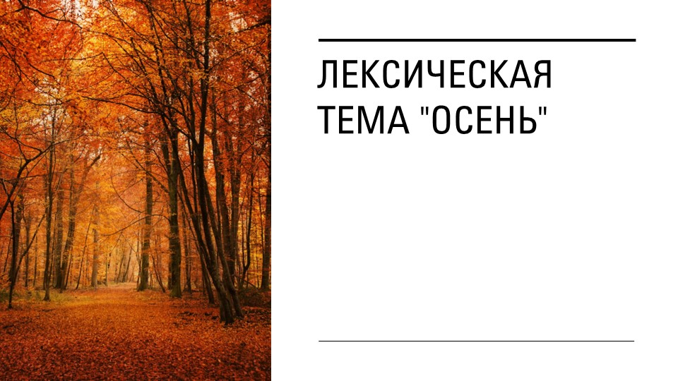 Презентация для дошкольников на лексическую тему "Осень" - Скачать презентации бесплатно | Читать или скачать учебники для школы онлайн бесплатно ☑ Школьные учебники school-textbook.com