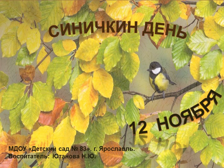 Окружающий мир "Синичкин день" - Скачать презентации бесплатно | Читать или скачать учебники для школы онлайн бесплатно ☑ Школьные учебники school-textbook.com